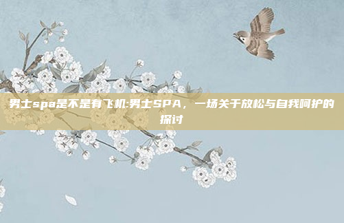 男士spa是不是有飞机:男士SPA，一场关于放松与自我呵护的探讨