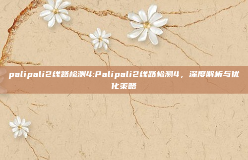 palipali2线路检测4:Palipali2线路检测4，深度解析与优化策略