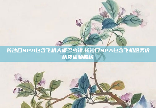 长沙口SPA包含飞机大概多少钱:长沙口SPA包含飞机服务价格及体验解析