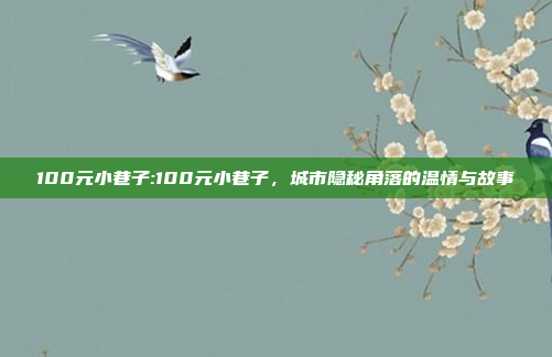 100元小巷子:100元小巷子，城市隐秘角落的温情与故事