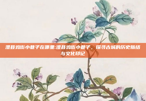 澧县鸡街小巷子在哪里:澧县鸡街小巷子，探寻古城的历史脉络与文化印记