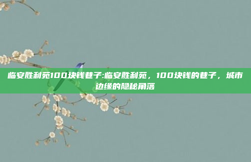 临安胜利苑100块钱巷子:临安胜利苑，100块钱的巷子，城市边缘的隐秘角落