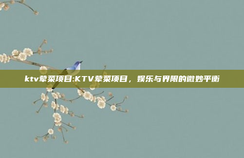 ktv荤菜项目:KTV荤菜项目，娱乐与界限的微妙平衡