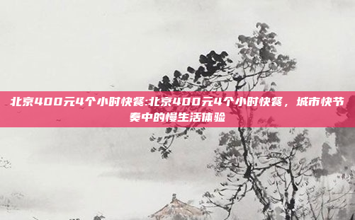 北京400元4个小时快餐:北京400元4个小时快餐，城市快节奏中的慢生活体验