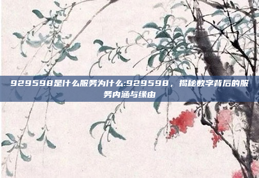 929598是什么服务为什么:929598，揭秘数字背后的服务内涵与缘由