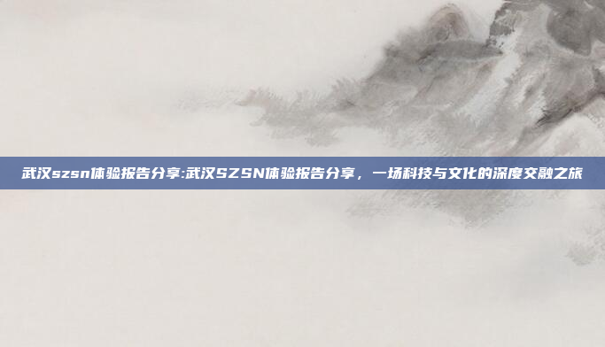 武汉szsn体验报告分享:武汉SZSN体验报告分享，一场科技与文化的深度交融之旅