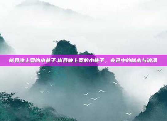 彬县晚上耍的小巷子:彬县晚上耍的小巷子，夜色中的秘密与浪漫