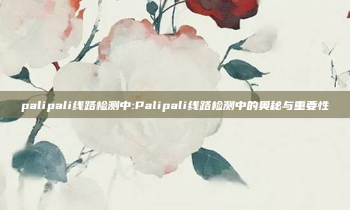 palipali线路检测中:Palipali线路检测中的奥秘与重要性