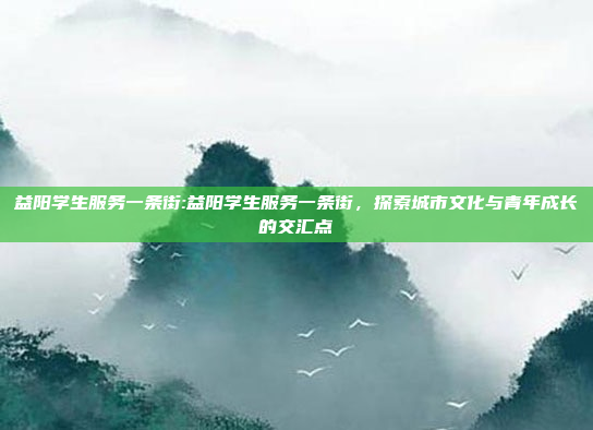 益阳学生服务一条街:益阳学生服务一条街，探索城市文化与青年成长的交汇点