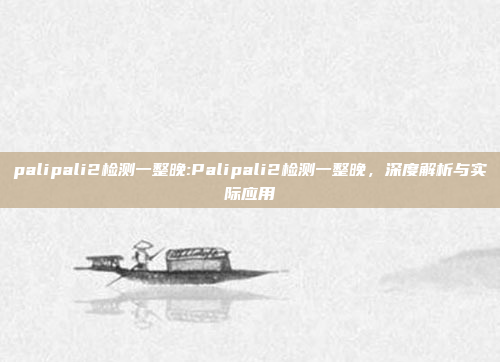 palipali2检测一整晚:Palipali2检测一整晚，深度解析与实际应用