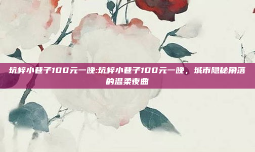 坑梓小巷子100元一晚:坑梓小巷子100元一晚，城市隐秘角落的温柔夜曲