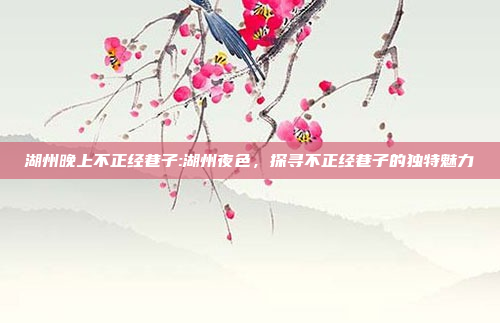 湖州晚上不正经巷子:湖州夜色，探寻不正经巷子的独特魅力