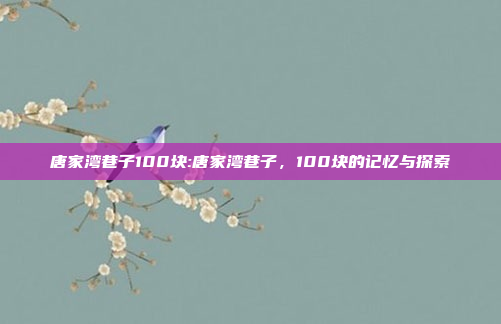 唐家湾巷子100块:唐家湾巷子，100块的记忆与探索