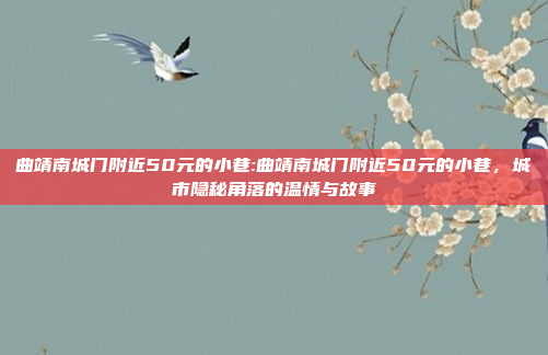 曲靖南城门附近50元的小巷:曲靖南城门附近50元的小巷，城市隐秘角落的温情与故事