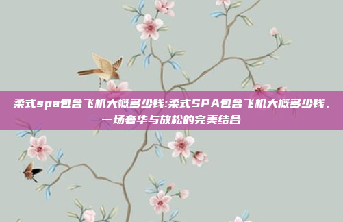 柔式spa包含飞机大概多少钱:柔式SPA包含飞机大概多少钱，一场奢华与放松的完美结合