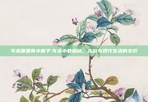 岑溪哪里有小巷子:岑溪小巷探秘，古韵与现代生活的交织