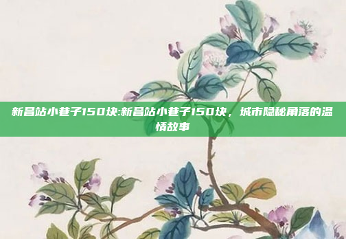 新昌站小巷子150块:新昌站小巷子150块，城市隐秘角落的温情故事