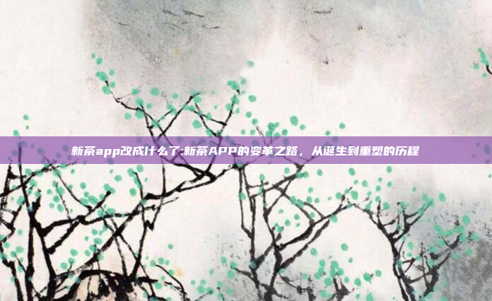 新茶app改成什么了:新茶APP的变革之路，从诞生到重塑的历程