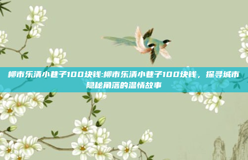 柳市乐清小巷子100块钱:柳市乐清小巷子100块钱，探寻城市隐秘角落的温情故事