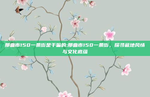 那曲市150一条街是干嘛的:那曲市150一条街，探寻藏地风情与文化底蕴