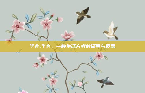 半套:半套，一种生活方式的探索与反思