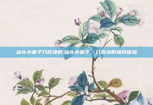 汕头小巷子几百块的:汕头小巷子，几百块的独特体验