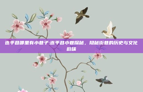 连平县哪里有小巷子:连平县小巷探秘，隐秘街巷的历史与文化韵味