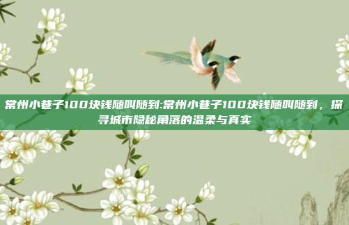 常州小巷子100块钱随叫随到:常州小巷子100块钱随叫随到，探寻城市隐秘角落的温柔与真实