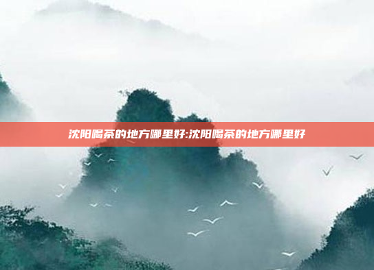 沈阳喝茶的地方哪里好:沈阳喝茶的地方哪里好