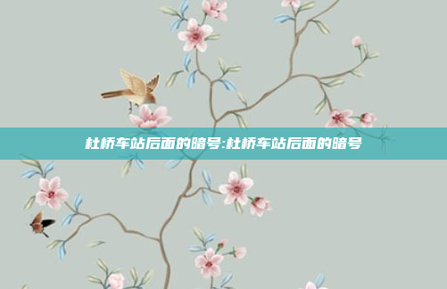 杜桥车站后面的暗号:杜桥车站后面的暗号