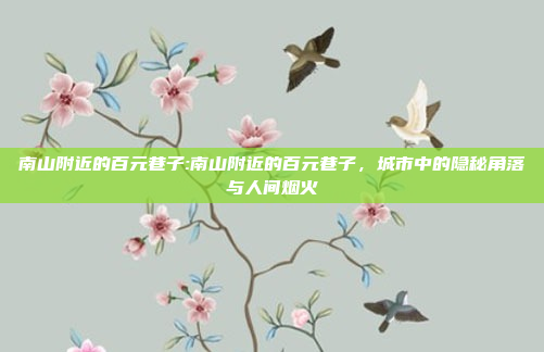 南山附近的百元巷子:南山附近的百元巷子，城市中的隐秘角落与人间烟火