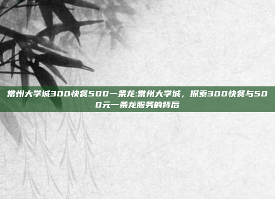 常州大学城300快餐500一条龙:常州大学城，探索300快餐与500元一条龙服务的背后