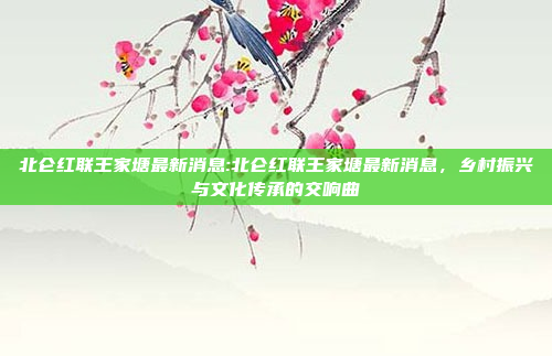 北仑红联王家塘最新消息:北仑红联王家塘最新消息，乡村振兴与文化传承的交响曲