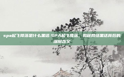 spa起飞降落是什么黑话:SPA起飞降落，揭秘网络黑话背后的深层含义