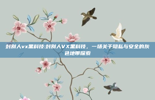 封别人vx黑科技:封别人VX黑科技，一场关于隐私与安全的灰色地带探索