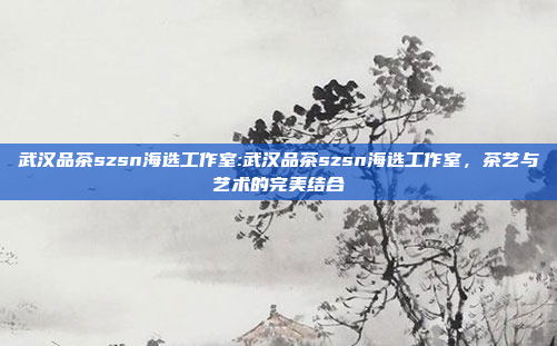 武汉品茶szsn海选工作室:武汉品茶szsn海选工作室，茶艺与艺术的完美结合