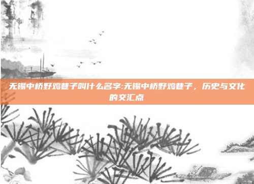 无锡中桥野鸡巷子叫什么名字:无锡中桥野鸡巷子，历史与文化的交汇点