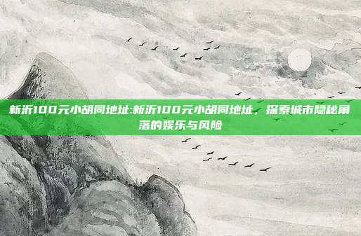 新沂100元小胡同地址:新沂100元小胡同地址，探索城市隐秘角落的娱乐与风险