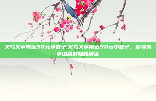 义乌义亭附近50元小巷子:义乌义亭附近50元小巷子，探寻城市边缘的隐秘角落