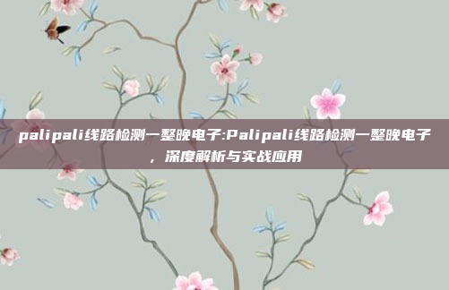 palipali线路检测一整晚电子:Palipali线路检测一整晚电子，深度解析与实战应用