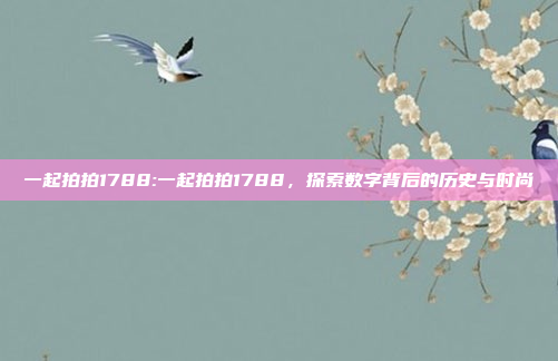 一起拍拍1788:一起拍拍1788，探索数字背后的历史与时尚