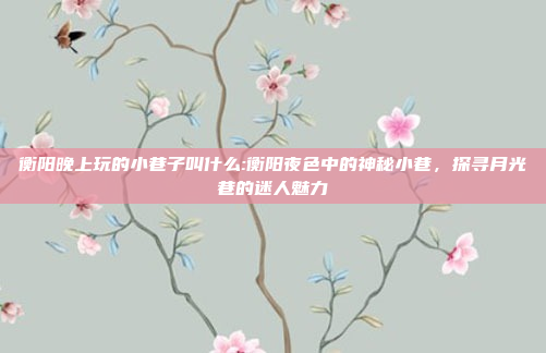 衡阳晚上玩的小巷子叫什么:衡阳夜色中的神秘小巷，探寻月光巷的迷人魅力