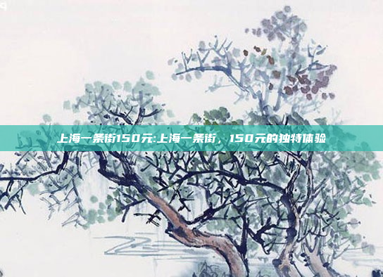 上海一条街150元:上海一条街，150元的独特体验