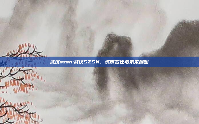 武汉szsn:武汉SZSN，城市变迁与未来展望