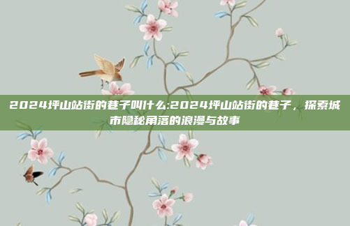 2024坪山站街的巷子叫什么:2024坪山站街的巷子，探索城市隐秘角落的浪漫与故事