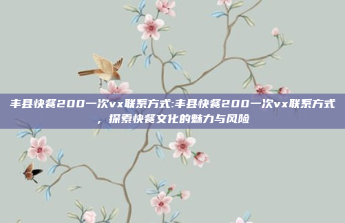 丰县快餐200一次vx联系方式:丰县快餐200一次vx联系方式，探索快餐文化的魅力与风险