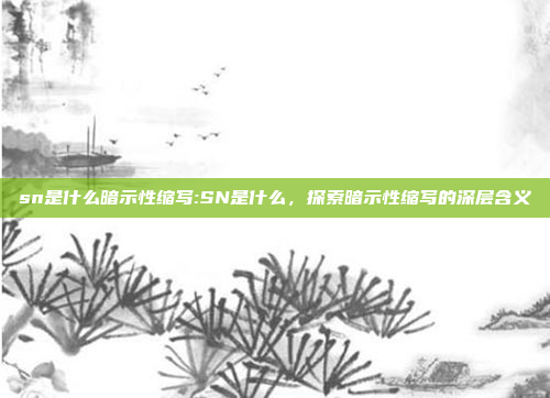 sn是什么暗示性缩写:SN是什么，探索暗示性缩写的深层含义