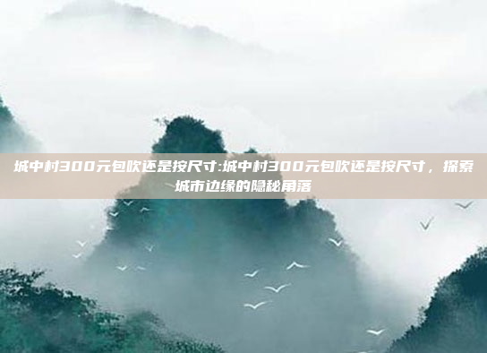 城中村300元包吹还是按尺寸:城中村300元包吹还是按尺寸，探索城市边缘的隐秘角落