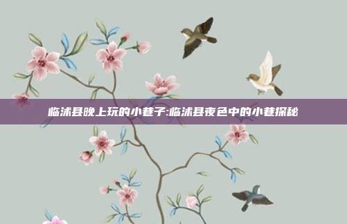 临沭县晚上玩的小巷子:临沭县夜色中的小巷探秘