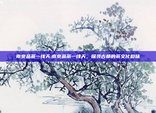 南京品茶一线天:南京品茶一线天，探寻古都的茶文化韵味